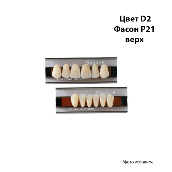 Зубы Basic 6 цвет Д2 фасон P21 верх купить