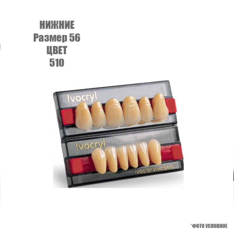 Зубы искуственные фронтальные нижние Ivoclar Set of 6 L UK56 510 купить